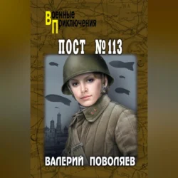 Пост № 113, Валерий Поволяев