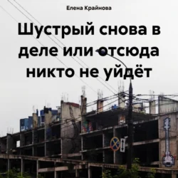 Шустрый снова в деле или отсюда никто не уйдёт, Елена Крайнова