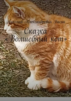 Сказка «Волшебный кот», Николай Васин