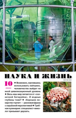 Наука и жизнь №10/2024