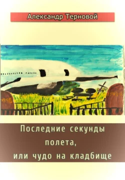 Последние секунды полета, или Чудо на кладбище, Александр Терновой