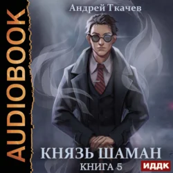 Князь шаман. Книга 5, Андрей Ткачев