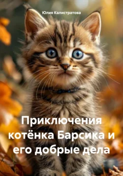 Приключения котёнка Барсика и его добрые дела, Юлия Калистратова
