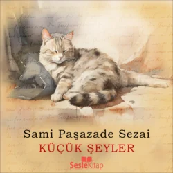 Küçük Şeyler, Samipaşazade Sezai