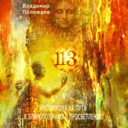 113 – Инструкция на пути к истинному благополучию и просветлению, Владимир Полежаев