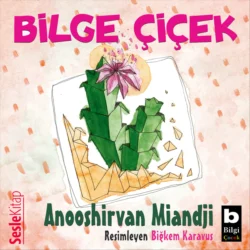 Bilge Ciçek, Anooshirvan Miandji