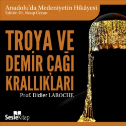 Anadolu′da Medeniyetin Hikayesi 2 – Troya ve Demir Çağı Krallıkları, Didier Laroche