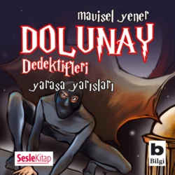 Dolunay Dedektifleri 6 – Yarasa Yarışları, Mavisel Yener