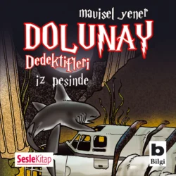 Dolunay Dedektifleri 1 – İz peşinde, Mavisel Yener