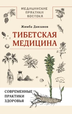 Тибетская медицина: современные практики здоровья, Жимба Данзанов