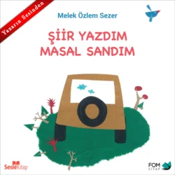 Şiir Yazdım Masal Sandım, Melek Özlem Sezer