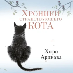 Хроники странствующего кота, Хиро Арикава