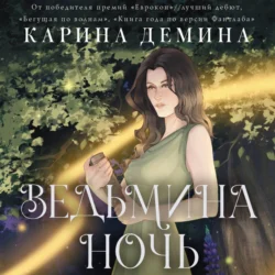 Ведьмина ночь, Карина Демина