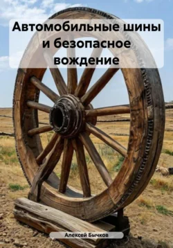 Автомобильные шины и безопасное вождение, Алексей Бычков