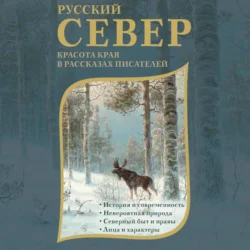 Русский Север. Красота края в рассказах писателей, Александр Грин