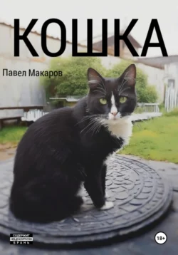 Кошка, Павел Макаров