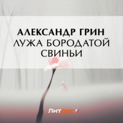 Лужа Бородатой Свиньи, Александр Грин