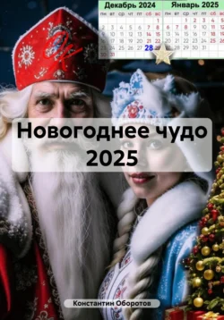 Новогоднее чудо 2025, Константин Оборотов