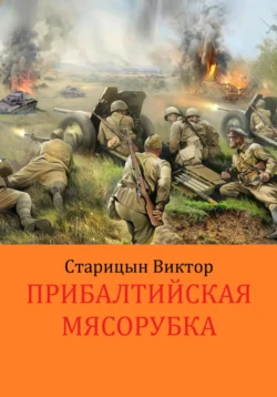 Прибалтийская «мясорубка», Виктор Старицын