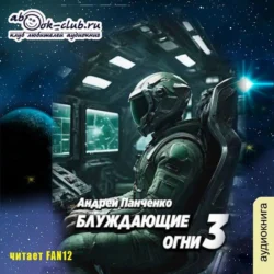 Блуждающие огни 3, Андрей Панченко