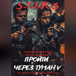 S-T-I-K-S. Пройти через туман V, Алексей Елисеев