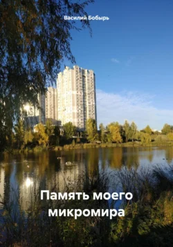 Память моего микромира, Василий Бобырь