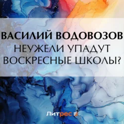 Неужели упадут воскресные школы?, Василий Водовозов