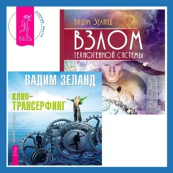 Взлом техногенной системы. Клип-трансерфинг. Принципы управления реальностью, Вадим Зеланд