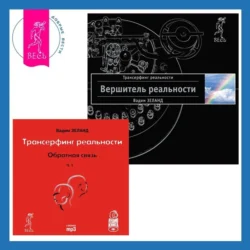 Вершитель реальности. Обратная связь. Часть 1, Вадим Зеланд