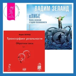 кЛИБЕ. Конец иллюзии стадной безопасности. Обратная связь. Часть 1, Вадим Зеланд