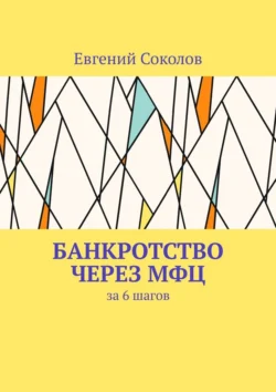 Банкротство через МФЦ. За 6 шагов, Евгений Соколов