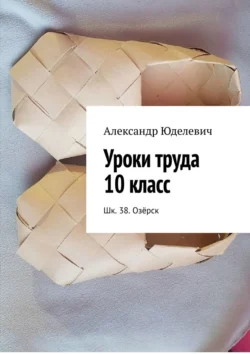 Уроки труда 10 класс. Шк. 38. Озёрск, Александр Юделевич