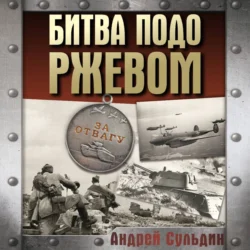 Битва подо Ржевом, Андрей Сульдин