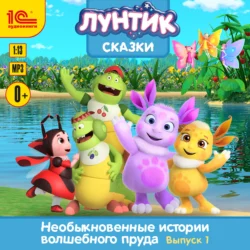 Необыкновенные истории волшебного пруда. Выпуск 1, Коллектив авторов
