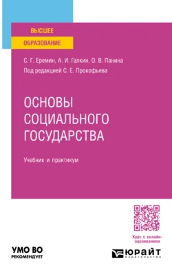 Основы социального государства. Учебник и практикум для вузов, Сергей Еремин