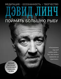 Поймать большую рыбу. Медитация, осознанность, творчество, Дэвид Линч