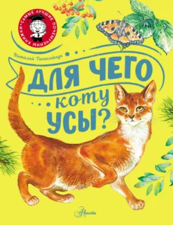 Для чего коту усы? Виталий Танасийчук