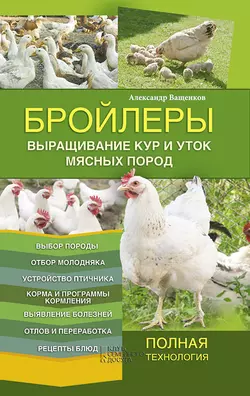 Бройлеры. Выращивание кур и уток мясных пород, Александр Ващенков