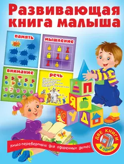 Развивающая книга малыша 