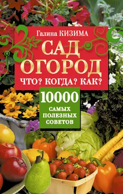 Сад и огород. Что? Когда? Как? 10000 самых полезных советов Галина Кизима