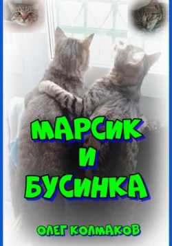 Марсик и Бусинка, Олег Колмаков