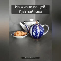 Из жизни вещей. Два чайника, Лариса Басанец